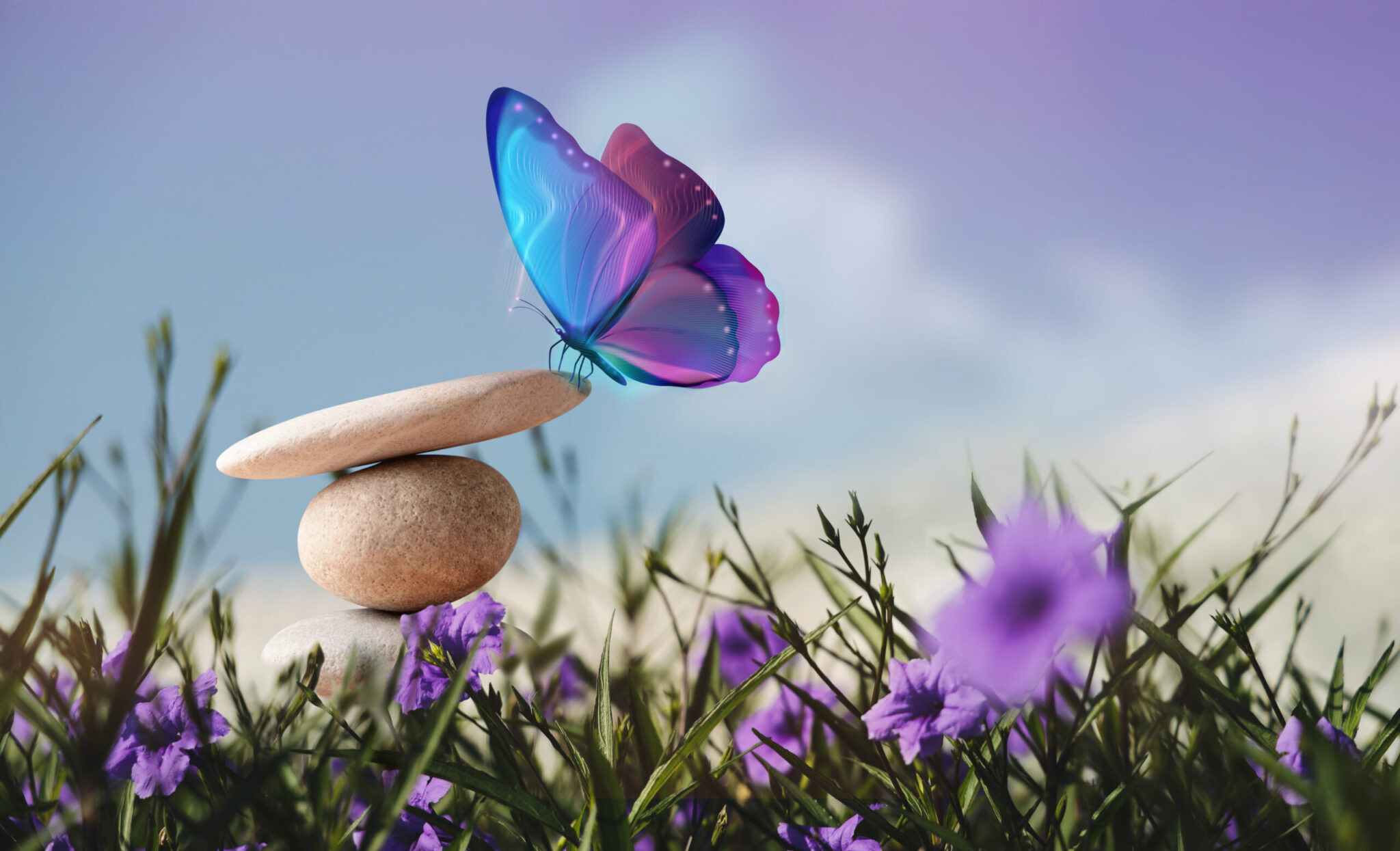 Surrealist Butterfly on the Pebble